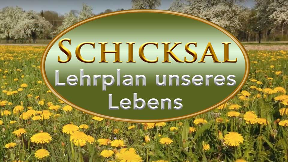 Leid hat einen Sinn