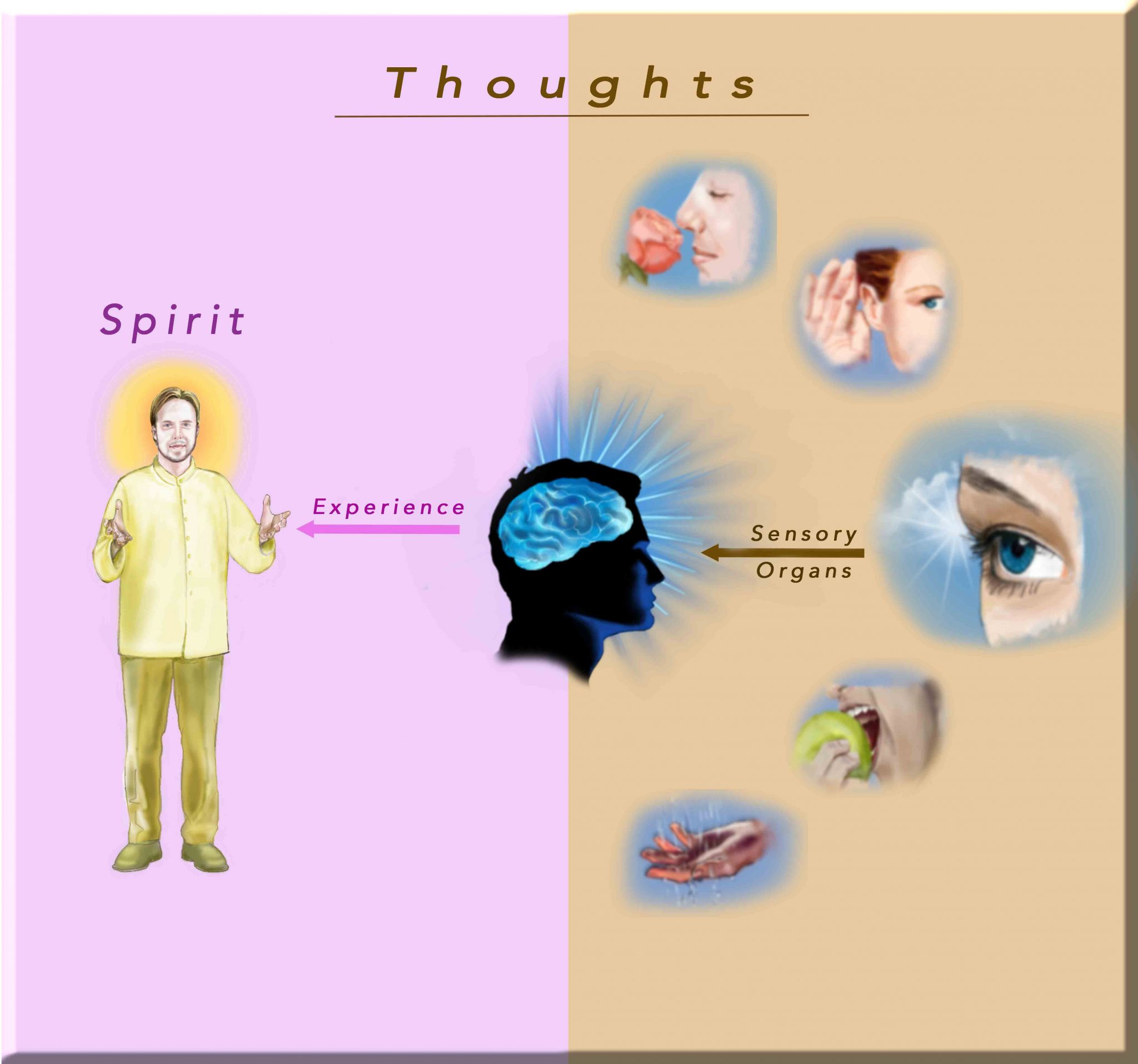 Thoughts, Spirit-Body, Sensory organs