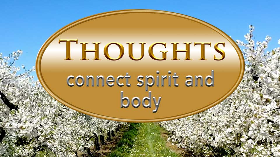Thoughts connect spirit and body