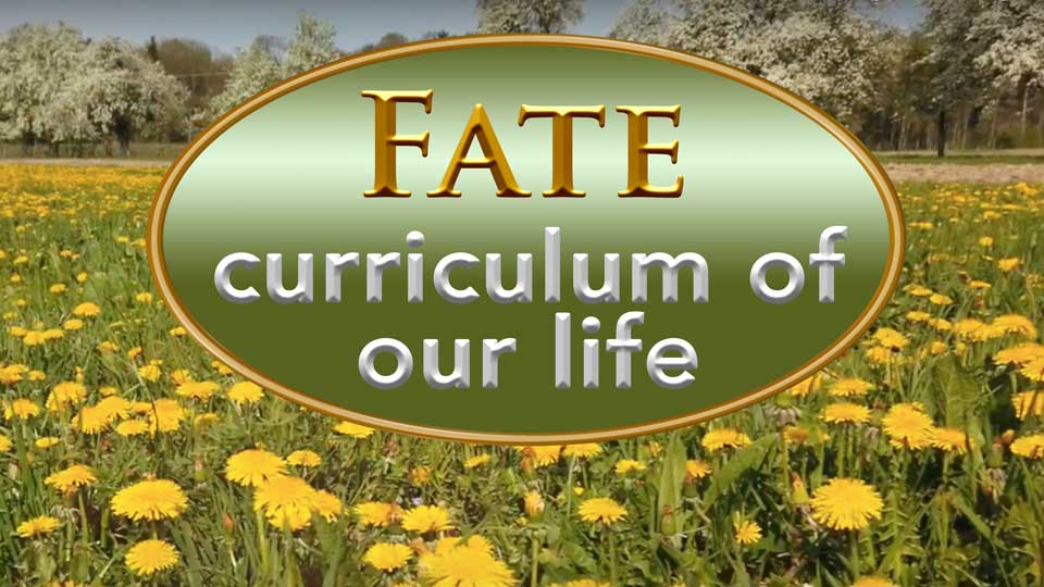 Fate-curriculum of our life