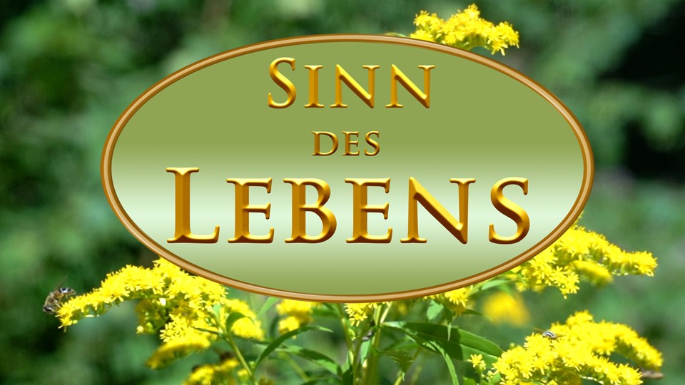 Sinn des Lebens