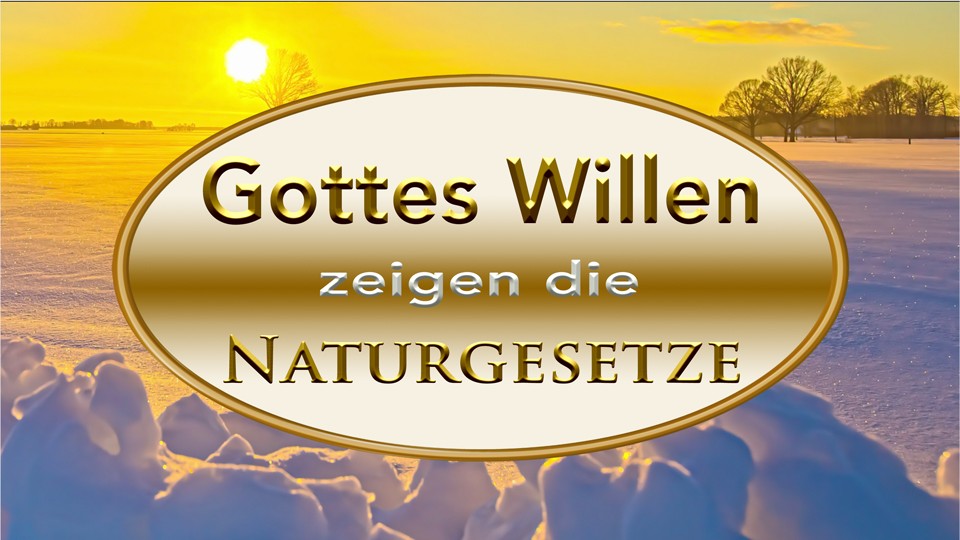 Logo Gottes Wille - Naturgesetze