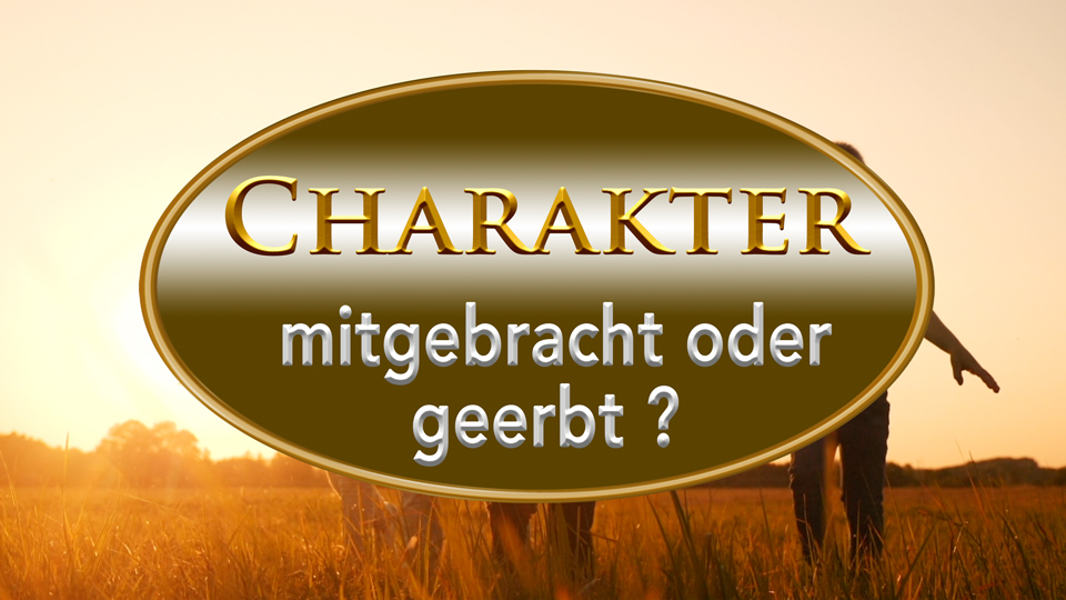 Warum-Sünde